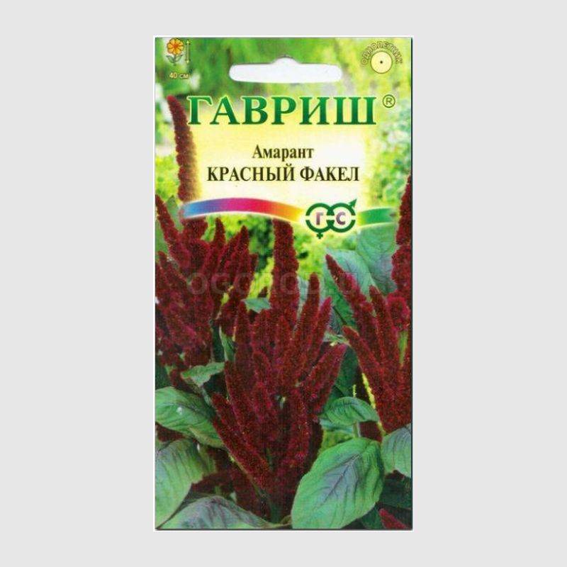 Кликните для увеличения изображения Семена амаранта «Красный факел», ТМ «ГАВРИШ»- 0,2 грамма