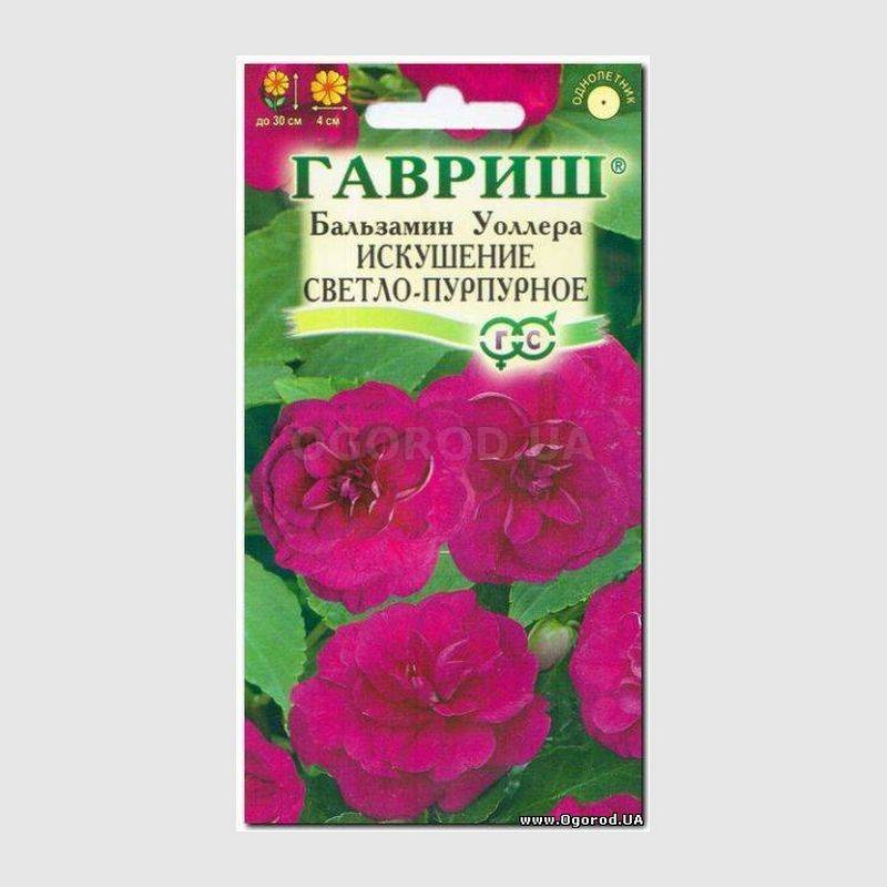 Кликните для увеличения изображения Семена бальзамина Уоллера «Искушение светло-пурпурное», ТМ «ГАВРИШ»- 5 семян