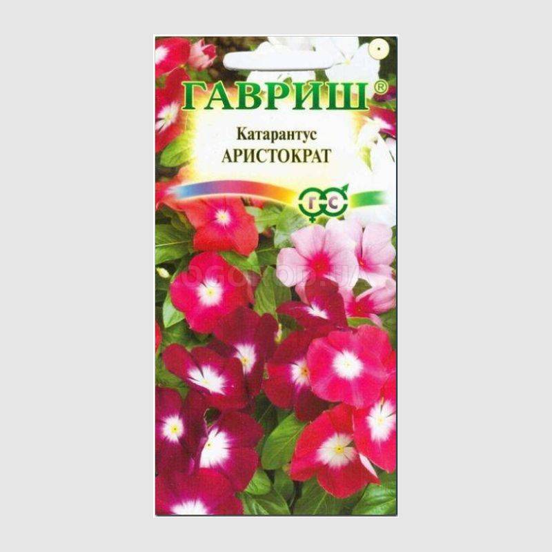 Кликните для увеличения изображения Семена катарантуса «Аристократ», ТМ «ГАВРИШ»- 0,01 грамм