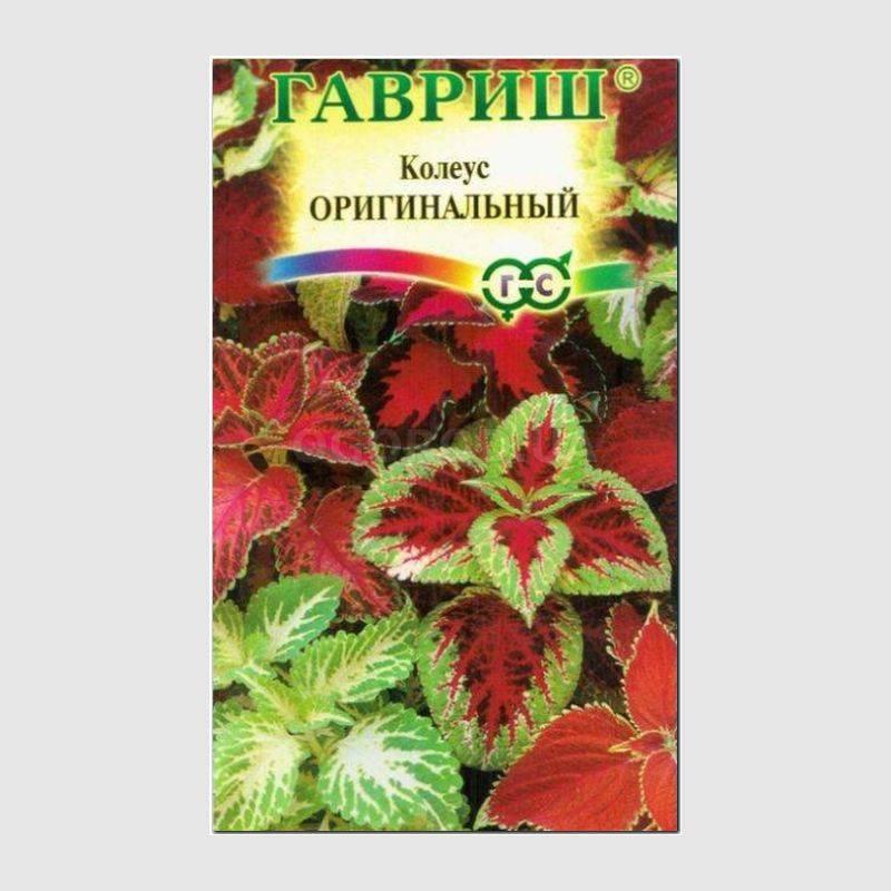 Кликните для увеличения изображения Семена колеуса «Оригинальный», ТМ «ГАВРИШ»- 0,05 грамм