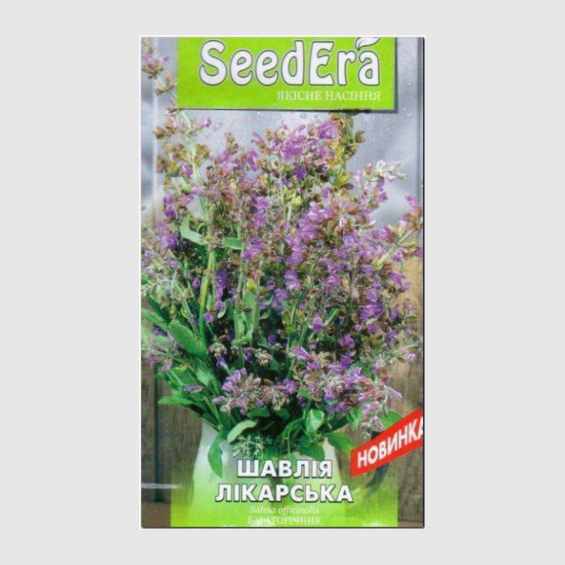 Кликните для увеличения изображения Семена шалфея лекарственного, ТМ SeedEra - 0,3 грамма