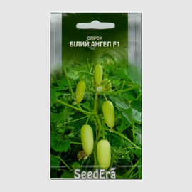 Семена огурца «Белый ангел» F1, ТМ SeedEra - 10 семян