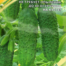 Семена огурца «Щедрик» F1, ТМ «ГАВРИШ» - 10 семян