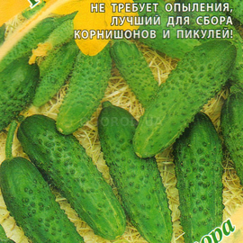 Семена огурца «Лилипут» F1, ТМ «ГАВРИШ» - 10 семян