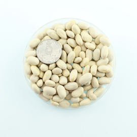 Семена фасоли спаржевой «Маркони», ТМ OGOROD - 100 семян