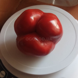 Семена перца сладкого «Аленка», ТМ OGOROD - 200 семян