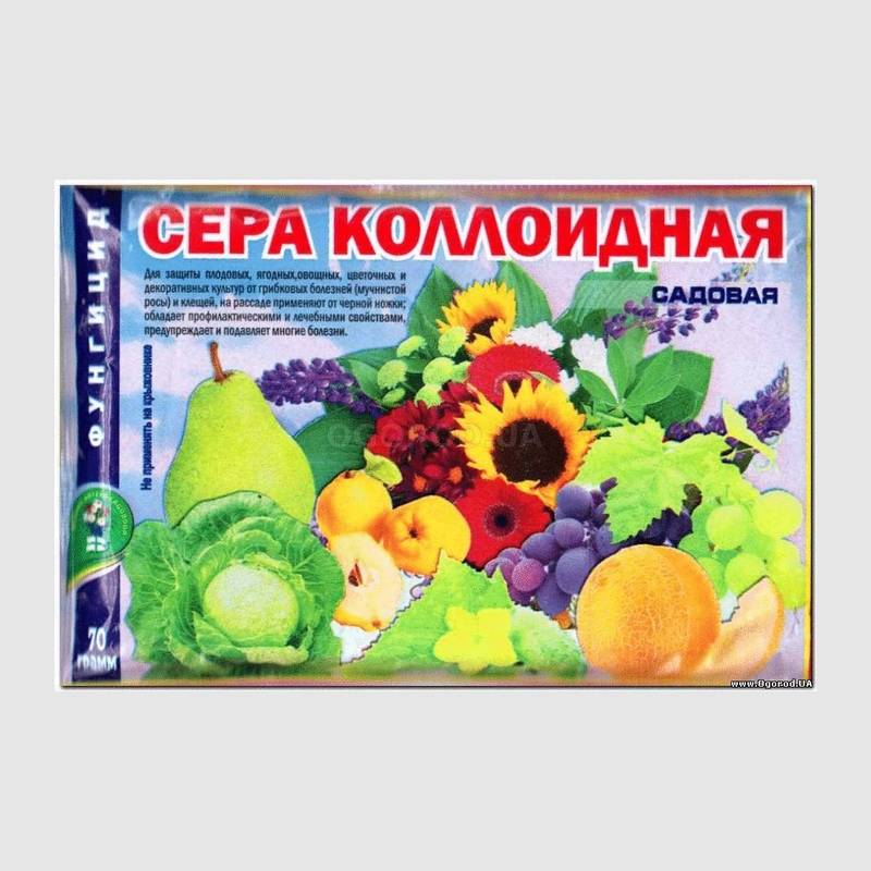 Коллоидная сера от тли. Сера коллоидная 30г. Сера для борьбы с оидиумом. Сера коллоидная для животных. Препараты с коллоидной серой для растений.