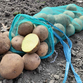 Клубни картофеля «Карат», ТМ «ЧерниговЭлитКартофель» - 15 кг (мешок/сетка)