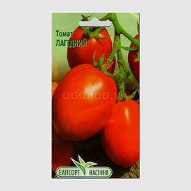 Семена томата «Лагидный», ТМ Елітсортнасіння - 0,3 грамм