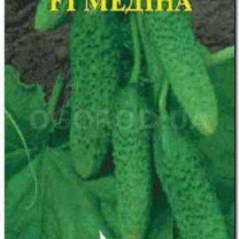 Семена огурца «Медина» F1, ТМ Елітсортнасіння - 10 семян