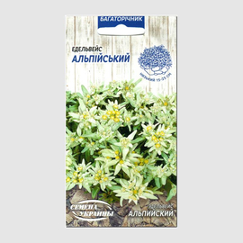 Семена эдельвейса альпийского, ТМ «СЕМЕНА УКРАИНЫ» - 0,05 грамма