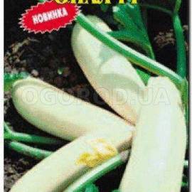 Семена кабачка «Опал» F1, ТМ «Елітсортнасіння» - 7 семян