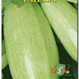 Семена кабачка «Рана» F1, ТМ «Елітсортнасіння» - 10 семян
