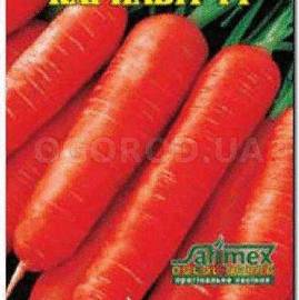 Семена моркови «Карнавит» F1, ТМ Елітсортнасіння - 2 грамма