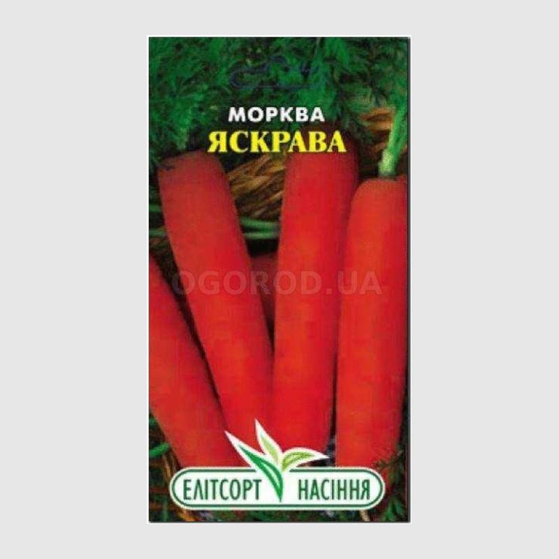 Кликните для увеличения изображения Семена моркови «Яркая», ТМ Елітсортнасіння - 2 грамма