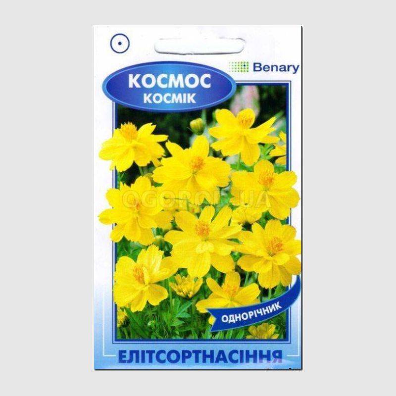 Кликните для увеличения изображения УЦЕНКА - Семена космоса «Космик» желтого, ТМ Елітсортнасіння - 10 семян