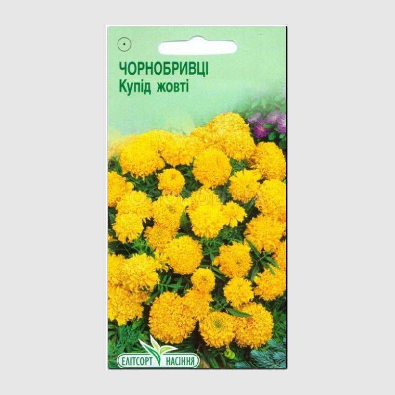 Кликните для увеличения изображения УЦЕНКА - Семена бархатцев прямостоячих «Купид» желтых, ТМ Елітсортнасіння - 0,1 грамм
