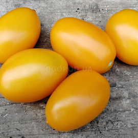 Семена томата «Гурман желтый», ТМ OGOROD - 200 семян