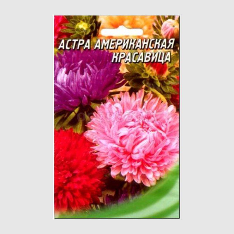Кликните для увеличения изображения Семена астры «Американская красавица», ТМ «ГЕЛИОС» - 100 семян
