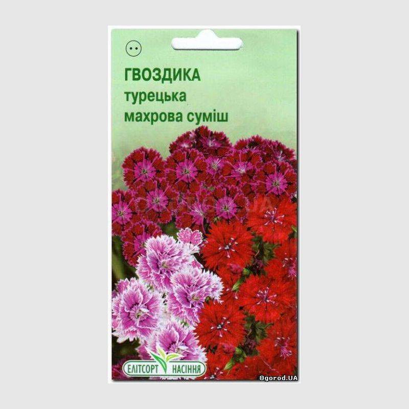 Кликните для увеличения изображения Семена гвоздики турецкой махровой смесь, ТМ Елітсортнасіння - 0,2 грамма