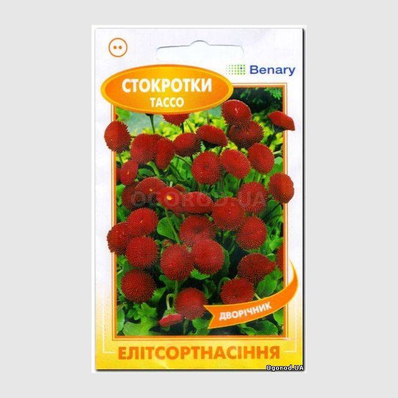 Кликните для увеличения изображения Семена маргаритки «Тассо» красной(Стокротки), ТМ Елітсортнасіння - 10 семян