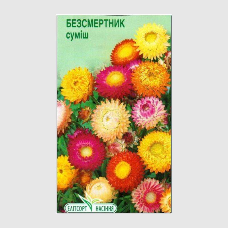 Кликните для увеличения изображения Семена цмина прицветникового смесь, ТМ Елітсортнасіння - 0,3 грамма