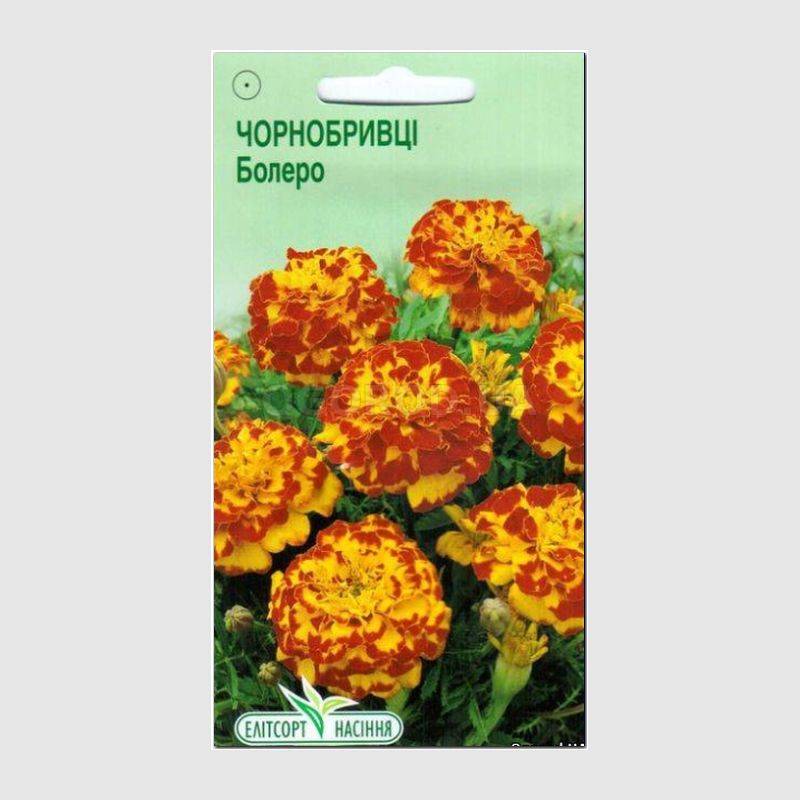 Кликните для увеличения изображения Семена бархатцев отклоненных «Болеро», ТМ Елітсортнасіння - 0,5 грамм