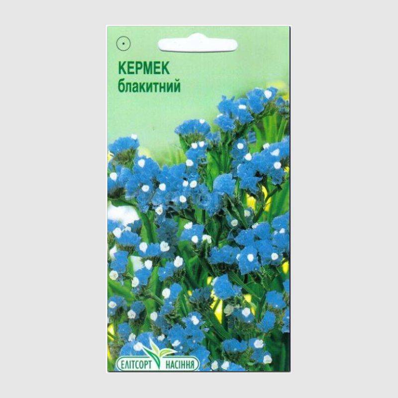 Кликните для увеличения изображения Семена кермека выемчатого голубого, ТМ Елітсортнасіння - 0,1 грамм