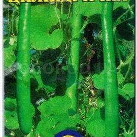 Семена лагенарии «Цилиндрическая», ТМ Елітсортнасіння - 5 семян