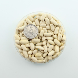 Семена фасоли спаржевой «Ксения», ТМ OGOROD - 100 семян