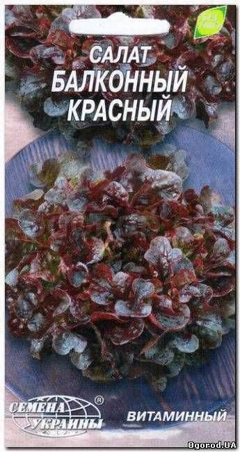Кликните для увеличения изображения Семена салата «Балконный красный», ТМ «СЕМЕНА УКРАИНЫ» - 0,5 грамма