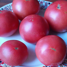 Семена томата «Малиновка», ТМ OGOROD - 20 семян