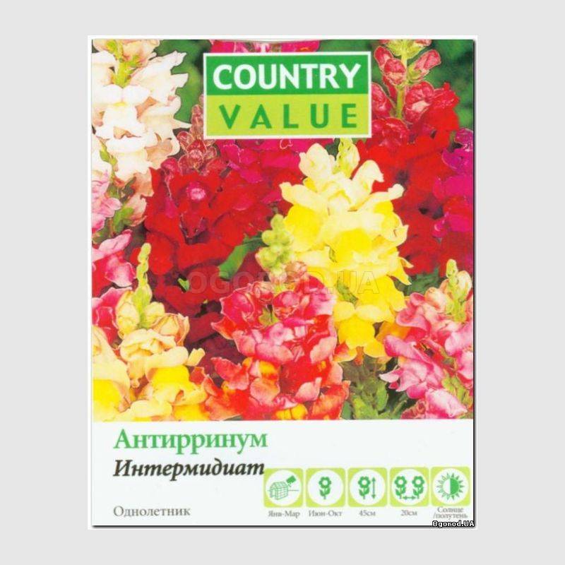 Кликните для увеличения изображения Семена антирринума «Интермидиат», ТМ Country Value - 750 семян