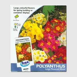 Семена полиантуса крупноцветного, ТМ Johnsons Seeds - 100 семян