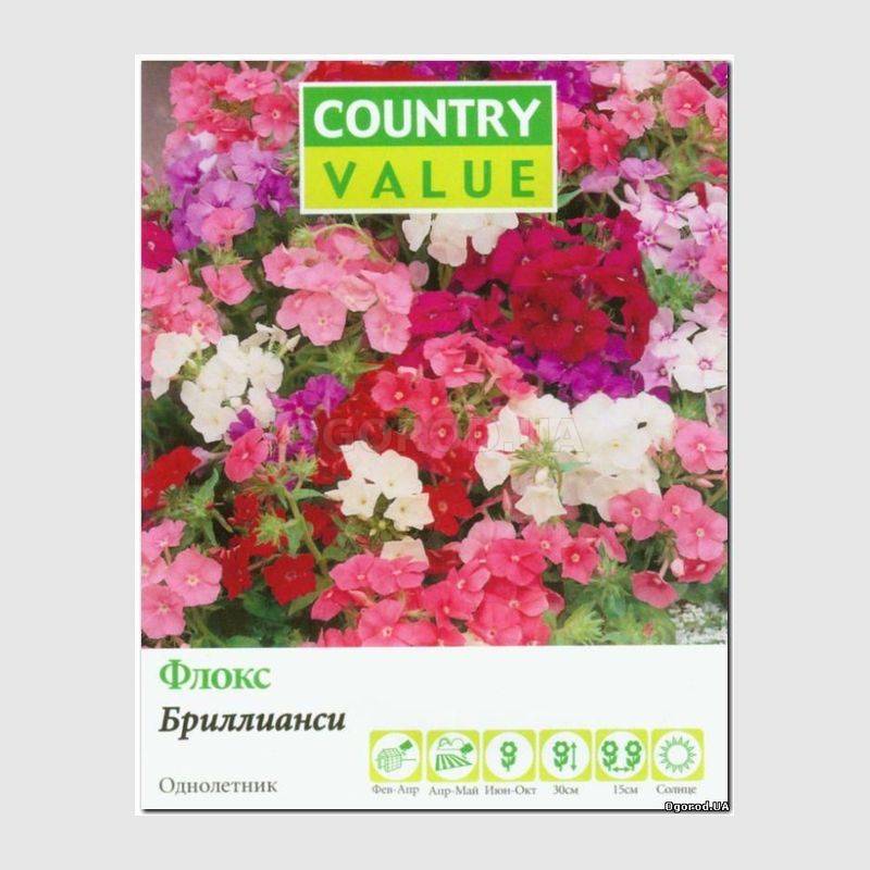 Кликните для увеличения изображения Семена флокса «Бриллианси», ТМ Country Value - 125 семян