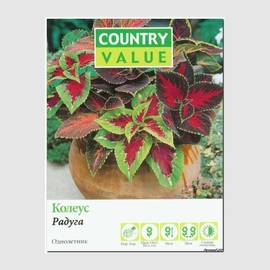 Семена колеуса «Радуга», ТМ Country Value - 50 семян