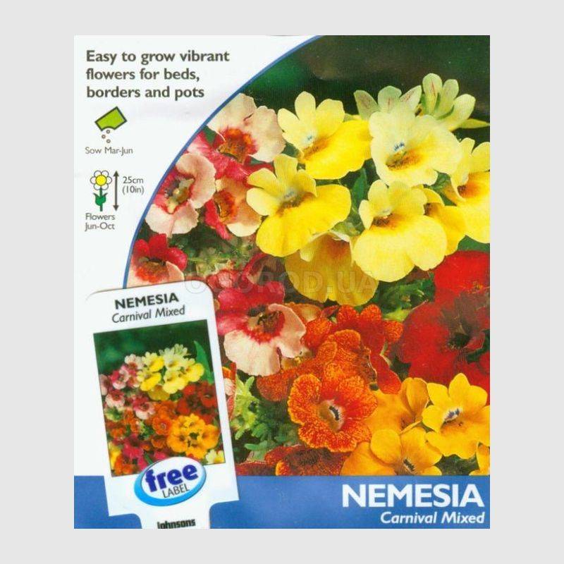 Кликните для увеличения изображения Семена немезии «Карнавал», ТМ Johnsons Seeds - 500 семян