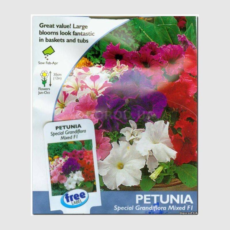 Кликните для увеличения изображения Семена петунии фирменной F1, ТМ Johnsons Seeds - 120 семян