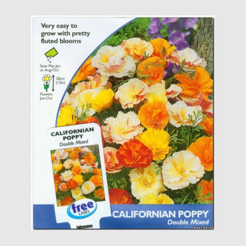 Кликните для увеличения изображения Семена эшшольции махровой, ТМ Johnsons Seeds - 450 семян