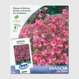 Семена диасции «Розовая королева», ТМ Johnsons Seeds - 350 семян