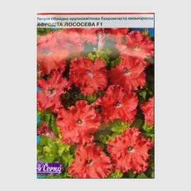 УЦЕНКА - Семена петунии крупноцветковой бахромчатой «Афродита лососевая» F1, ТМ Cerny - 10 семян