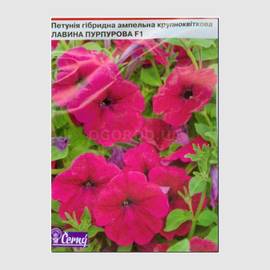 Семена петунии ампельной крупноцветковой «Лавина пурпурная» F1, ТМ Cerny - 10 семян