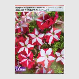 Семена петунии ампельной крупноцветковой «Лавина пурпурная звезда» F1, ТМ Cerny - 10 семян