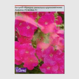 Семена петунии ампельной крупноцветковой «Лавина розовая» F1, ТМ Cerny - 10 семян