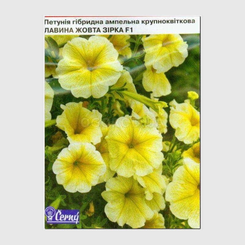 Кликните для увеличения изображения Семена петунии ампельной крупноцветковой «Лавина желтая звезда» F1, ТМ Cerny - 10 семян