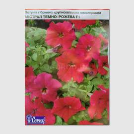 Семена петунии крупноцветковой низкорослой «Мистрал розовая» F1, ТМ Cerny - 10 семян