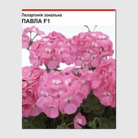 УЦЕНКА - Семена пеларгонии зональной «Павла» F1, ТМ Cerny - 10 семян