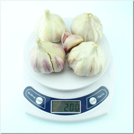 Семена чеснока «Софиевский» (зубок), ТМ OGOROD - 200 грамм