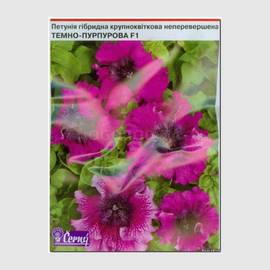 Семена петунии крупноцветковой превосходнейшей низкой «Темно-пурпурная» F1, ТМ Cerny - 10 семян