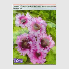 Семена петунии крупноцветковой превосходнейшей низкой «Розеа» F1, ТМ Cerny - 10 семян